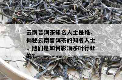 云南普洱茶知名人士是谁，揭秘云南普洱茶的知名人士，他们是怎样作用茶叶行业的？