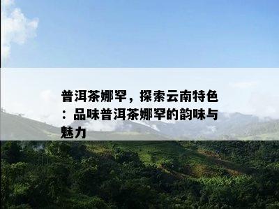 普洱茶娜罕，探索云南特色：品味普洱茶娜罕的韵味与魅力