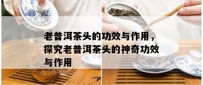 老普洱茶头的功效与作用，探究老普洱茶头的神奇功效与作用