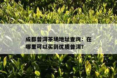 成都普洱茶场地址查询：在哪里可以买到优质普洱？