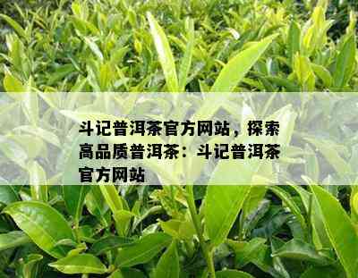 斗记普洱茶官方网站，探索高品质普洱茶：斗记普洱茶官方网站