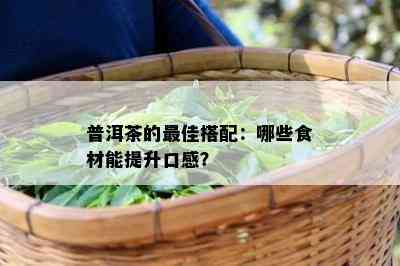 普洱茶的更佳搭配：哪些食材能提升口感？