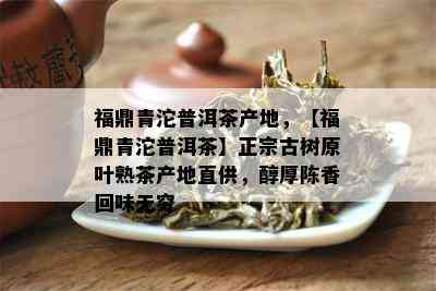 福鼎青沱普洱茶产地，【福鼎青沱普洱茶】正宗古树原叶熟茶产地直供，醇厚陈香回味无穷