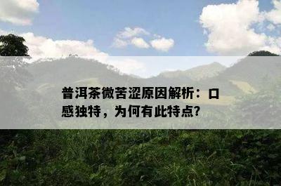 普洱茶微苦涩原因解析：口感独特，为何有此特点？