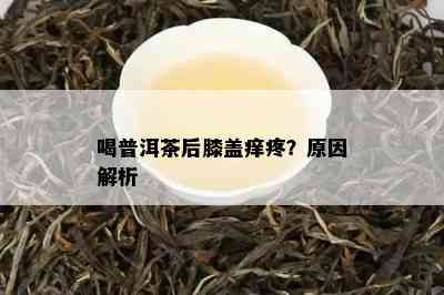 喝普洱茶后膝盖痒疼？原因解析