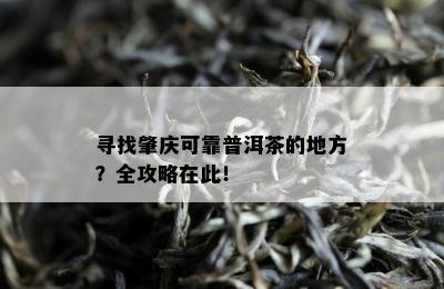 寻找肇庆可靠普洱茶的地方？全攻略在此！