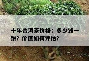 十年普洱茶价格：多少钱一饼？价值怎样评估？