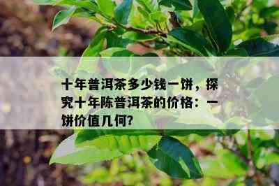 十年普洱茶多少钱一饼，探究十年陈普洱茶的价格：一饼价值几何？