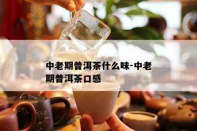 中老期普洱茶什么味-中老期普洱茶口感