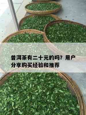 普洱茶有二十元的吗？客户分享购买经验和推荐