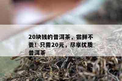 20块钱的普洱茶，尝鲜不贵！只需20元，尽享优质普洱茶