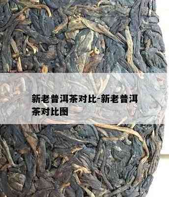 新老普洱茶对比-新老普洱茶对比图