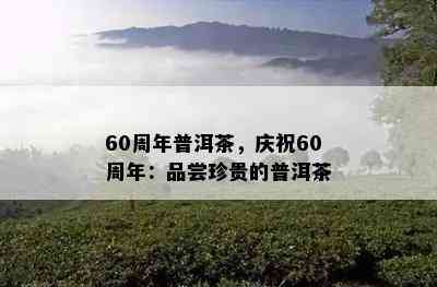 60周年普洱茶，庆祝60周年：品尝珍贵的普洱茶