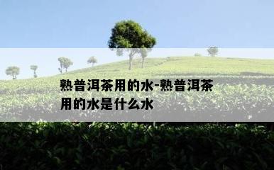 熟普洱茶用的水-熟普洱茶用的水是什么水