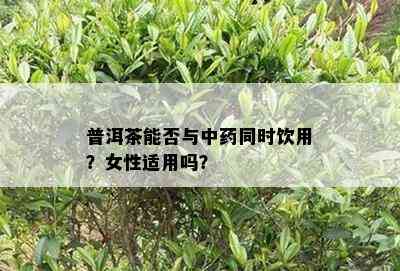 普洱茶能否与中同时饮用？女性适用吗？