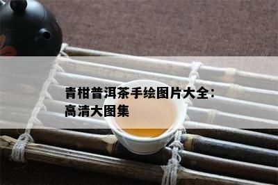 青柑普洱茶手绘图片大全：高清大图集