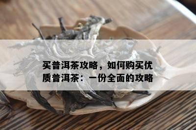 买普洱茶攻略，如何购买优质普洱茶：一份全面的攻略