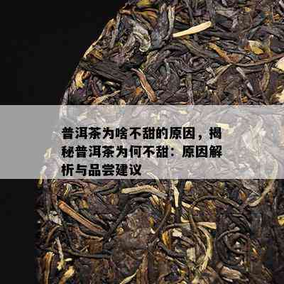 普洱茶为啥不甜的起因，揭秘普洱茶为何不甜：起因解析与品尝建议