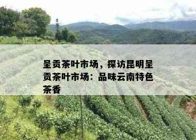 呈贡茶叶市场，探访昆明呈贡茶叶市场：品味云南特色茶香