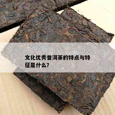 文化优秀普洱茶的特点与特征是什么？