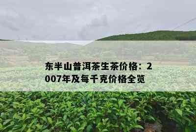 东半山普洱茶生茶价格：2007年及每千克价格全览