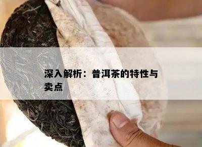 深入解析：普洱茶的特性与卖点