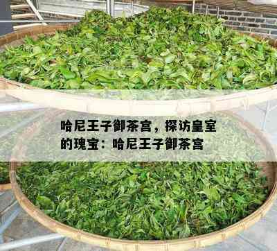 哈尼王子御茶宫，探访皇室的瑰宝：哈尼王子御茶宫