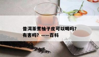 普洱茶煮柚子皮可以喝吗？有害吗？——百科