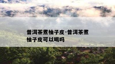 普洱茶煮柚子皮-普洱茶煮柚子皮可以喝吗