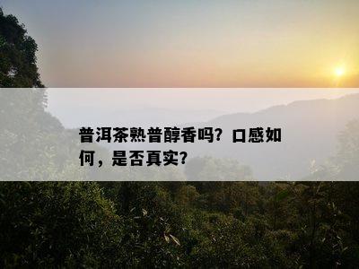 普洱茶熟普醇香吗？口感怎样，是不是真实？