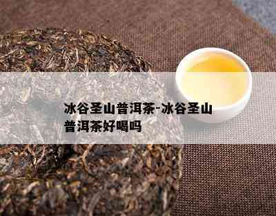 冰谷圣山普洱茶-冰谷圣山普洱茶好喝吗