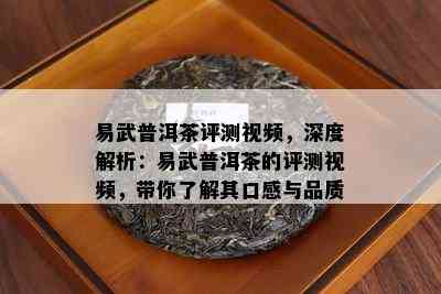 易武普洱茶评测视频，深度解析：易武普洱茶的评测视频，带你了解其口感与品质