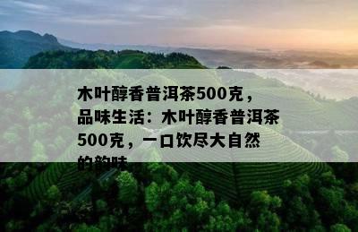 木叶醇香普洱茶500克，品味生活：木叶醇香普洱茶500克，一口饮尽大自然的韵味