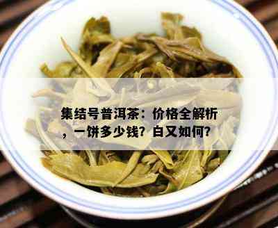 集结号普洱茶：价格全解析，一饼多少钱？白又如何？