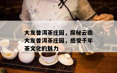 大友普洱茶庄园，探秘云南大友普洱茶庄园，感受千年茶文化的魅力