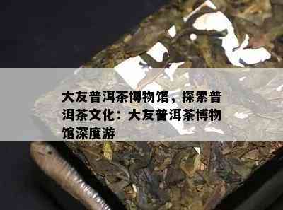 大友普洱茶博物馆，探索普洱茶文化：大友普洱茶博物馆深度游