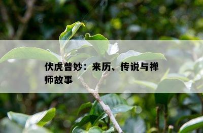 伏虎普妙：来历、传说与禅师故事