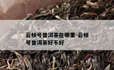 云桢号普洱茶在哪里-云桢号普洱茶好不好