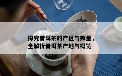 探究普洱茶的产区与数量，全解析普洱茶产地与概览