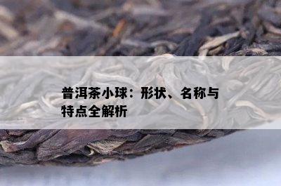 普洱茶小球：形状、名称与特点全解析