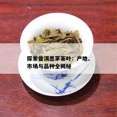 探索普洱思茅茶叶：产地、市场与品种全揭秘