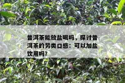 普洱茶能放盐喝吗，探讨普洱茶的另类口感：可以加盐饮用吗？