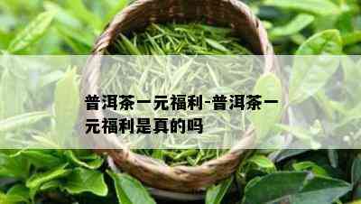 普洱茶一元福利-普洱茶一元福利是真的吗