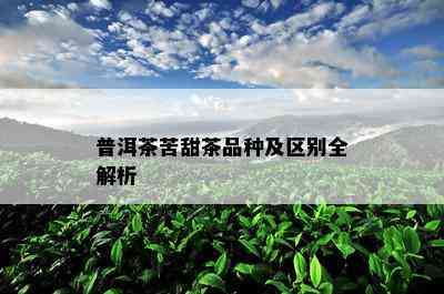 普洱茶苦甜茶品种及区别全解析