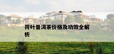 荷叶普洱茶价格及功效全解析