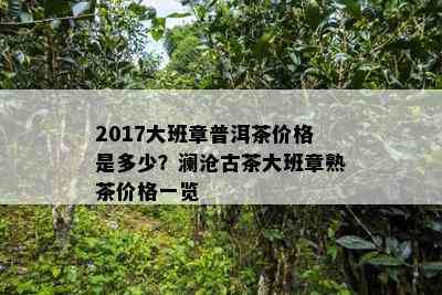 2017大班章普洱茶价格是多少？澜沧古茶大班章熟茶价格一览