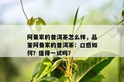 阿曼家的普洱茶怎么样，品鉴阿曼家的普洱茶：口感如何？值得一试吗？