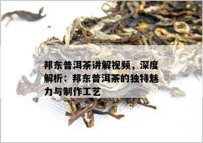 邦东普洱茶讲解视频，深度解析：邦东普洱茶的特别魅力与制作工艺