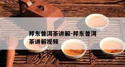 邦东普洱茶讲解-邦东普洱茶讲解视频