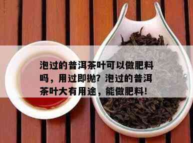 泡过的普洱茶叶可以做肥料吗，用过即抛？泡过的普洱茶叶大有用途，能做肥料！